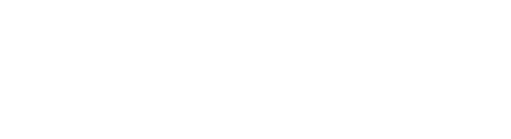 Spark New Sales Logo